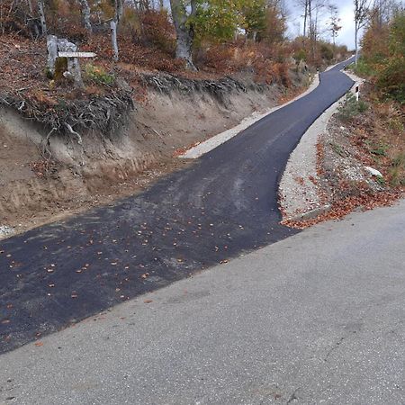 Vikendica Rankovici Villa Mokra Gora Eksteriør billede