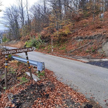 Vikendica Rankovici Villa Mokra Gora Eksteriør billede