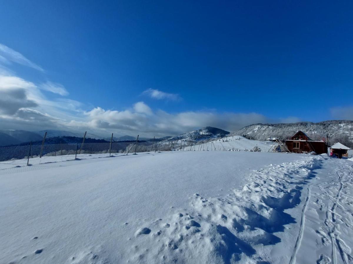Vikendica Rankovici Villa Mokra Gora Eksteriør billede