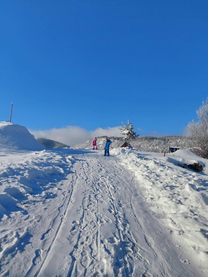 Vikendica Rankovici Villa Mokra Gora Eksteriør billede