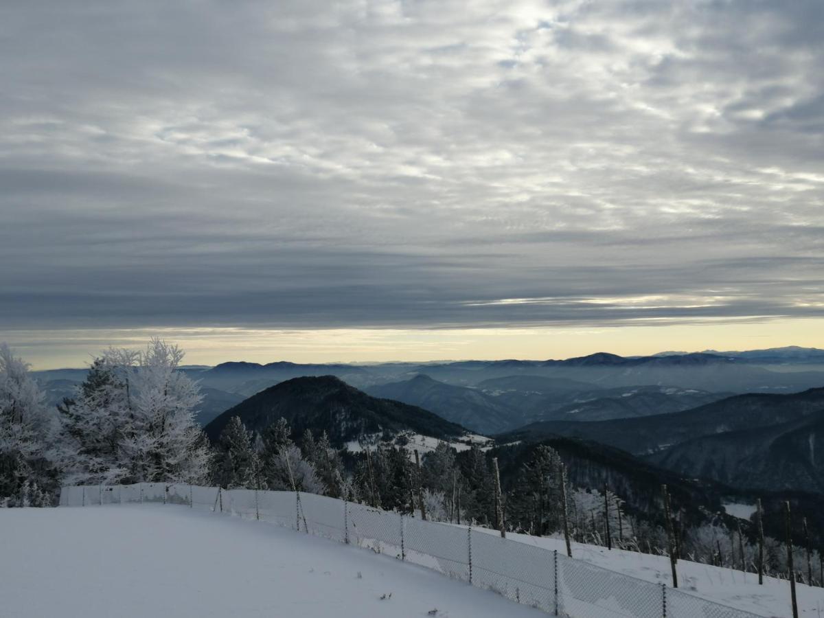 Vikendica Rankovici Villa Mokra Gora Eksteriør billede